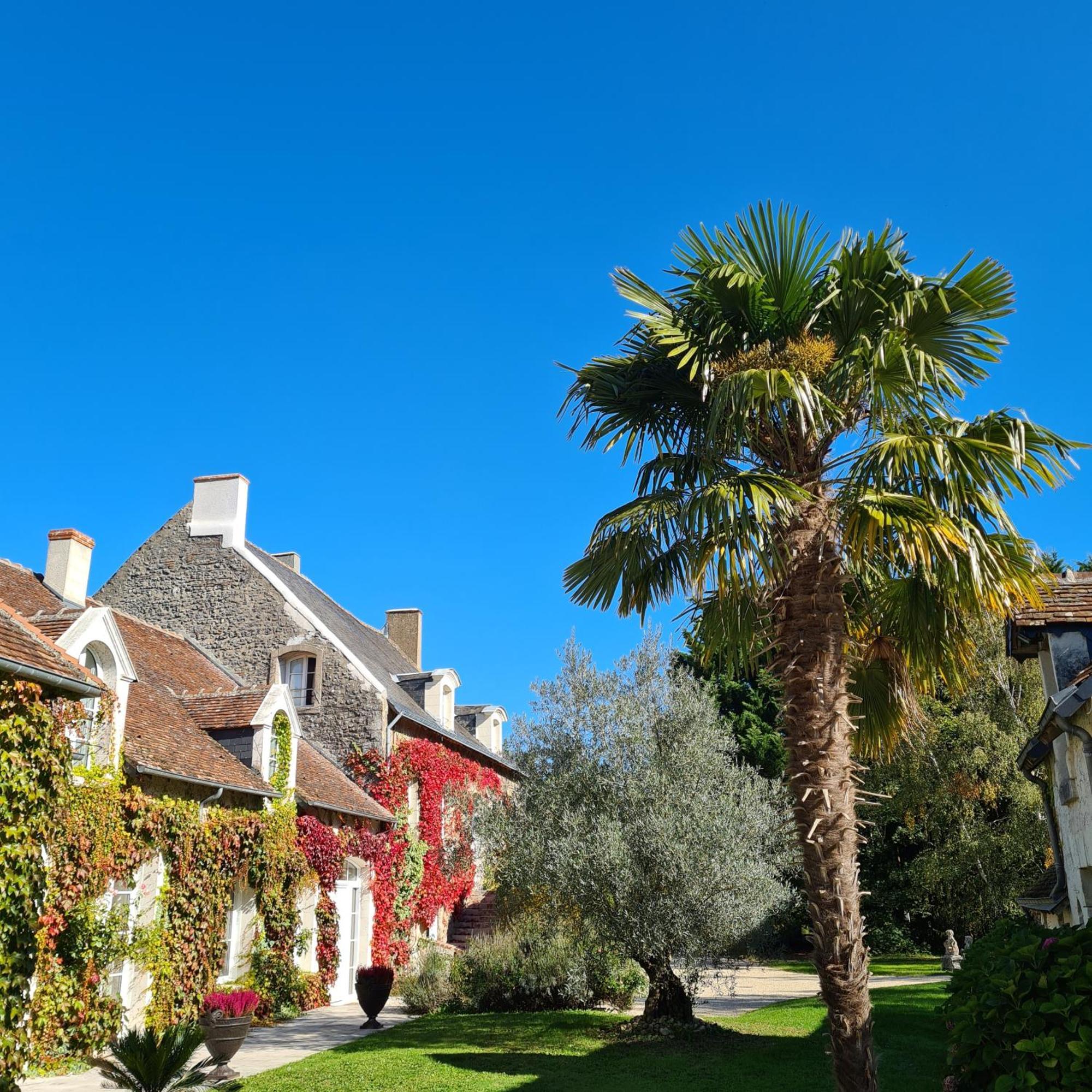 Domaine De La Blonnerie Bed & Breakfast Feings  Exterior foto